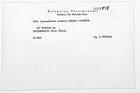 Image Associated With the Occurrence